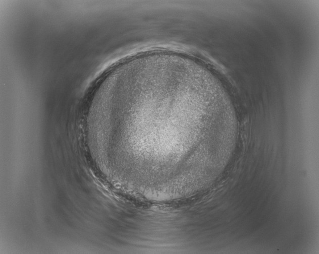 X0000080731496200701021106