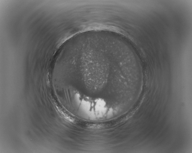 X0000080731497200701021106