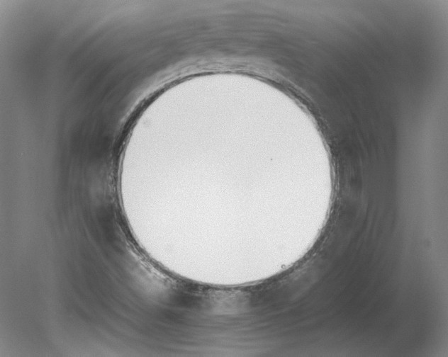 X0000080731498200701021106