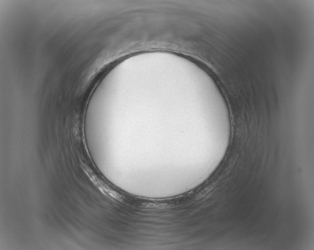 X0000080731499200701021106