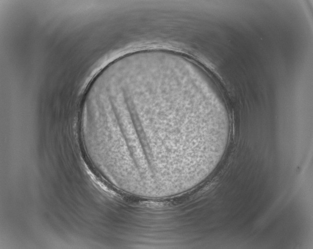 X0000080731500200701021106