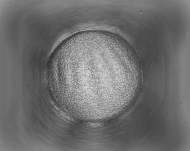 X0000080731501200701021106