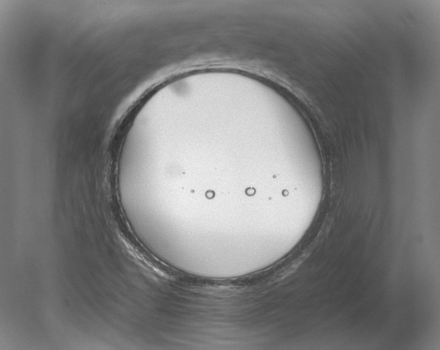 X0000080731502200701021106