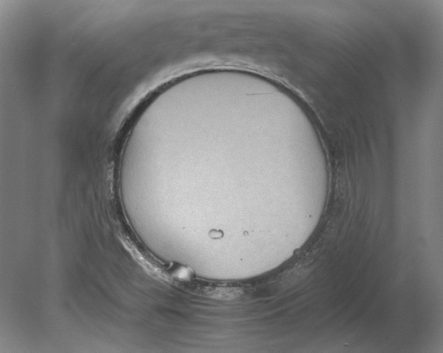 X0000080731503200701021106