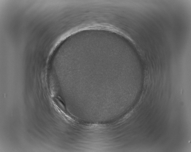 X0000080731506200701021106