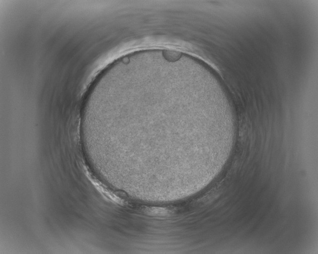 X0000080731507200701021106