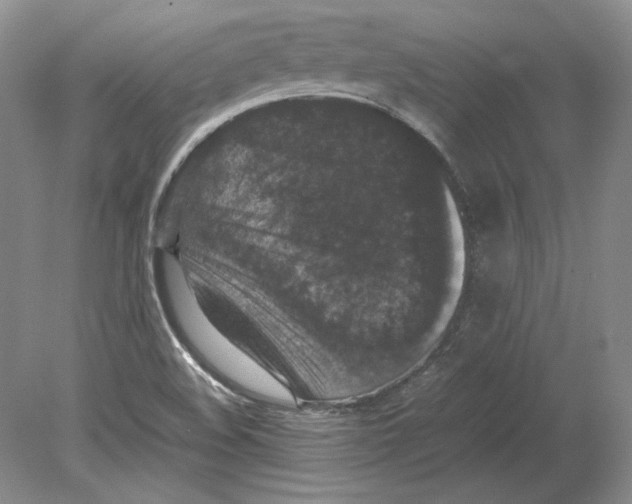 X0000080731508200701021106