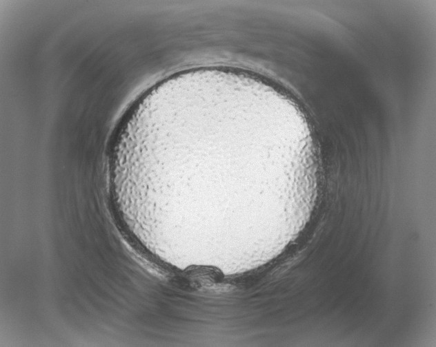 X0000080731509200701021106