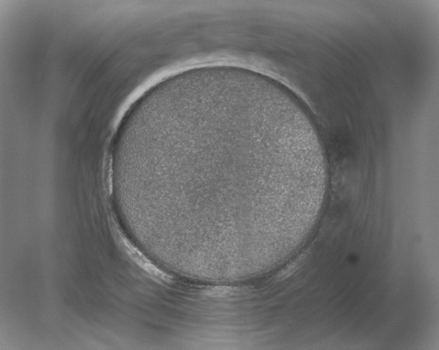 X0000080731510200701021106