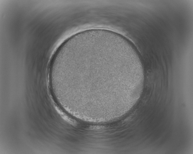 X0000080731511200701021106