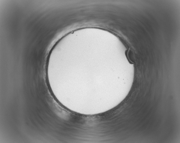 X0000080731512200701021106