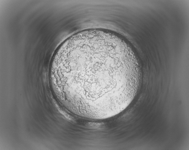 X0000080731513200701021107