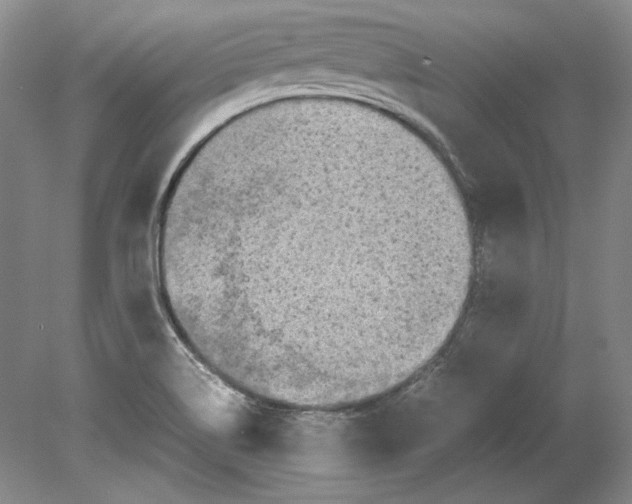 X0000080731514200701021107