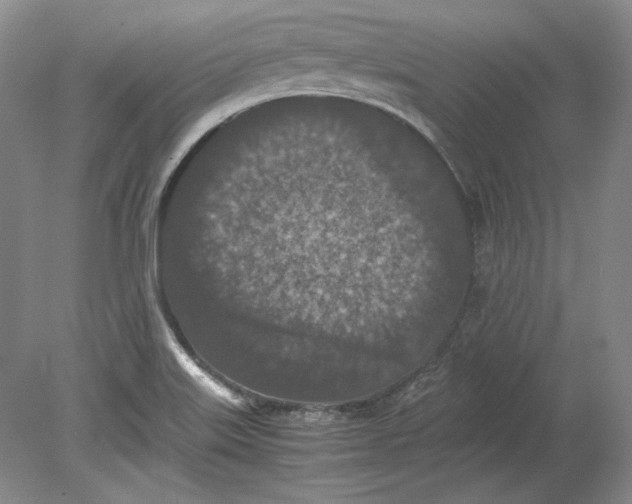 X0000080731515200701021107