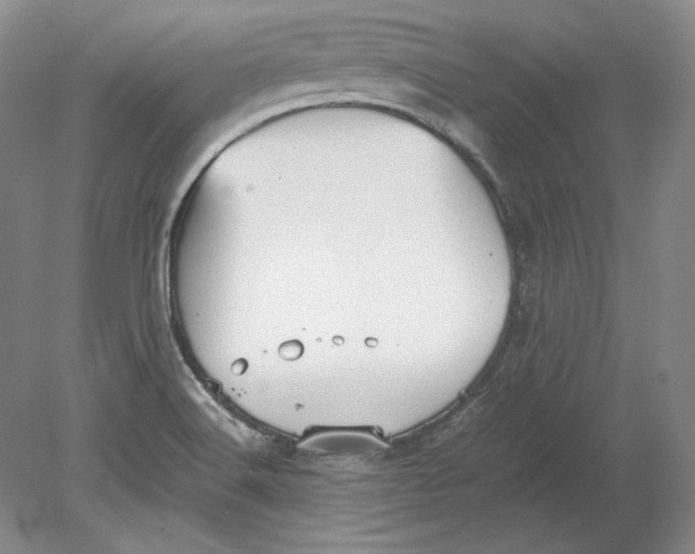 X0000080731516200701021107