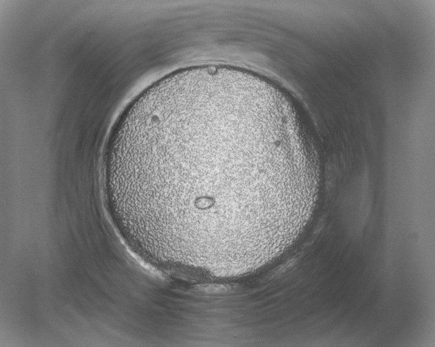 X0000080731517200701021107