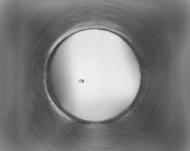 X0000080731518200701021107