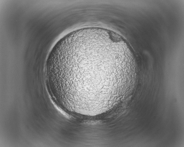 X0000080731519200701021107