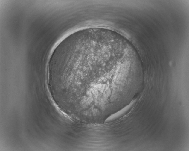 X0000080731520200701021107