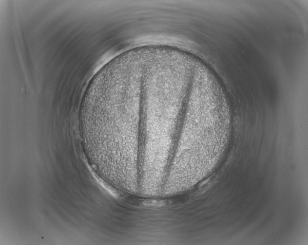 X0000080731521200701021107