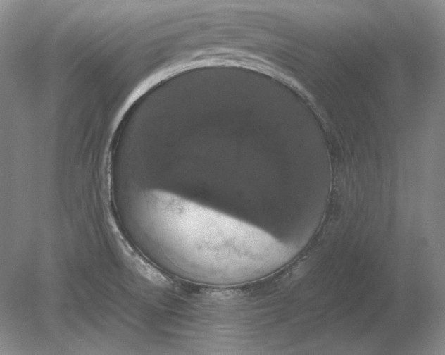 X0000080731522200701021107