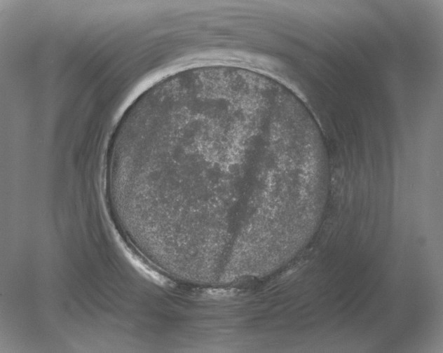 X0000080731523200701021107