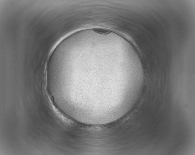 X0000080731524200701021107