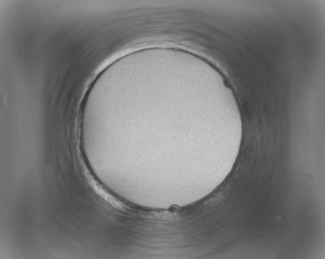 X0000080731526200701021107