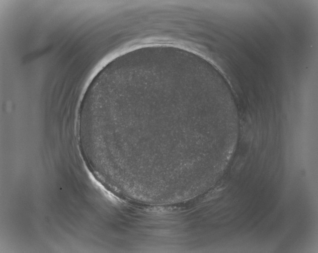 X0000080731527200701021107