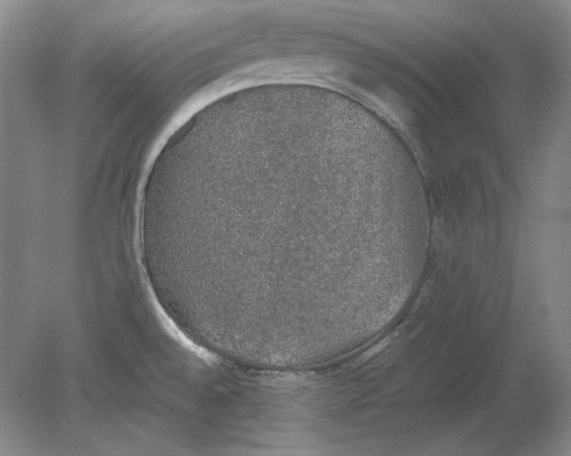 X0000080731528200701021107