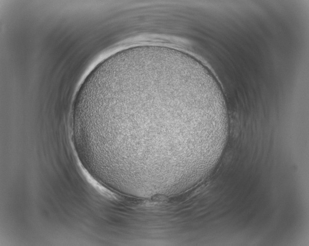 X0000080731531200701021107