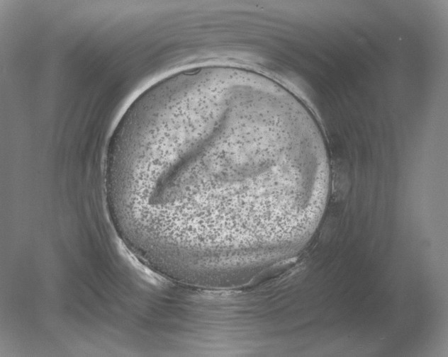 X0000080731532200701021107