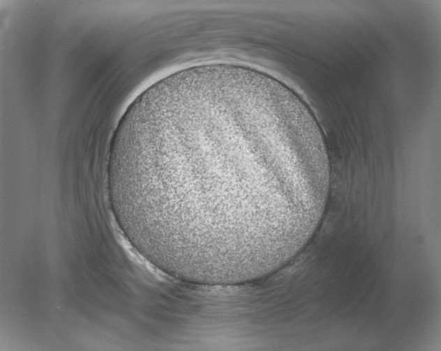 X0000080731534200701021107