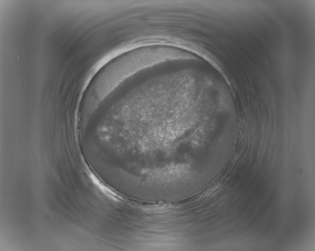 X0000080731535200701021107