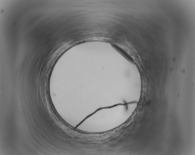 X0000080730001200701051110