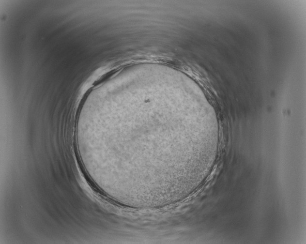 X0000080730003200701051110