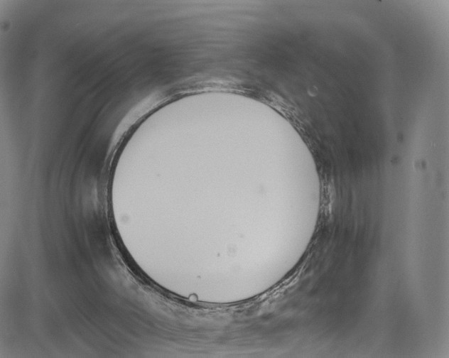 X0000080730004200701051110