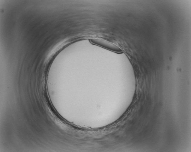 X0000080730005200701051110