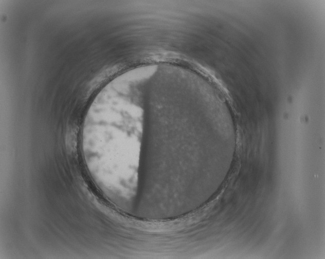 X0000080730010200701051110