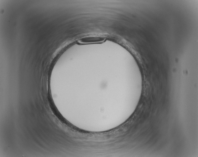 X0000080730011200701051110