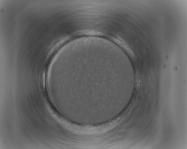 X0000080730014200701051110