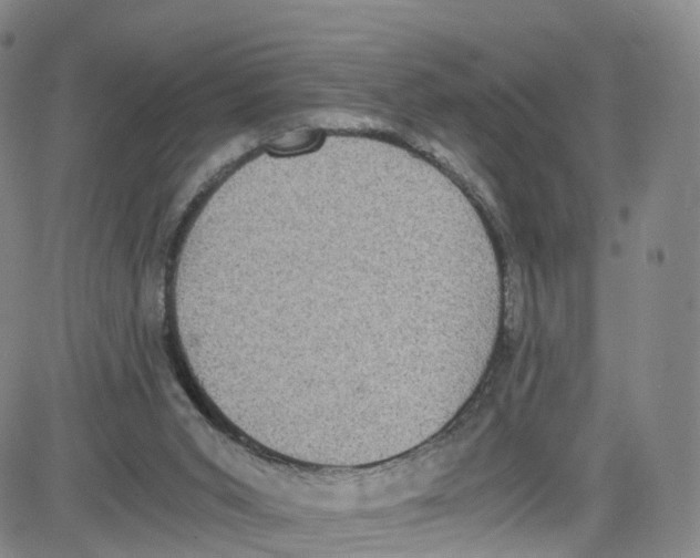 X0000080730015200701051110