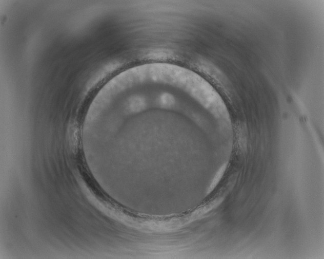 X0000080730016200701051110