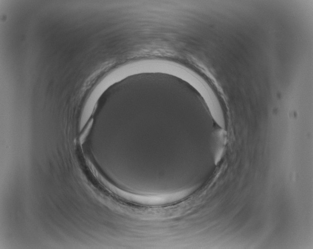 X0000080730019200701051110