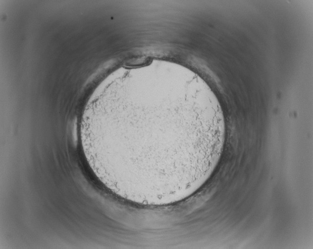 X0000080730020200701051110