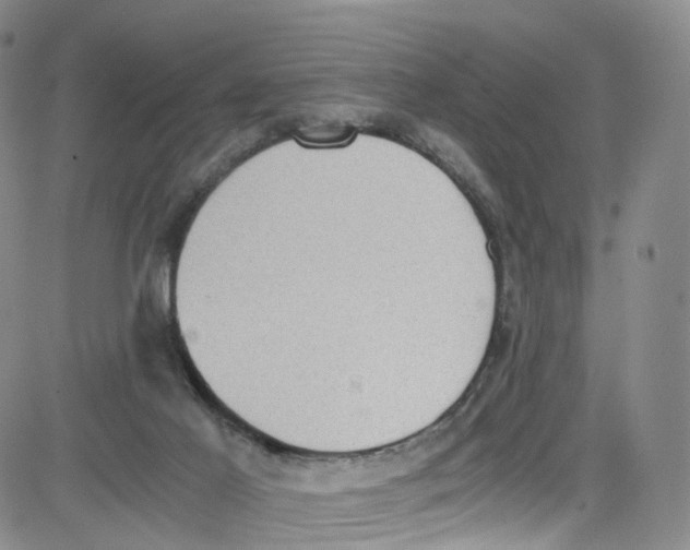 X0000080730021200701051110