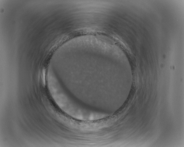 X0000080730022200701051110