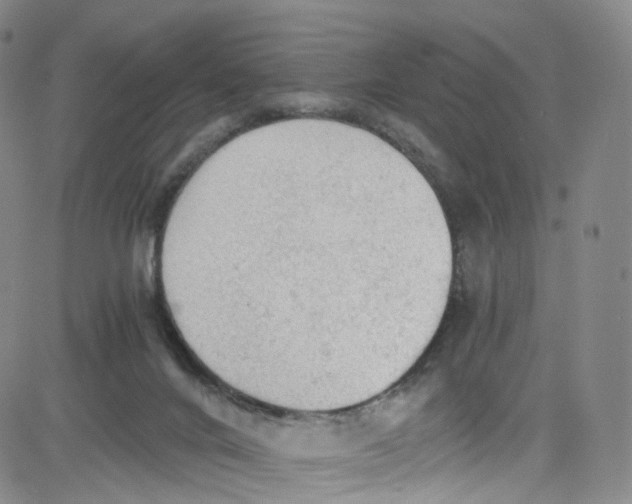 X0000080730024200701051110