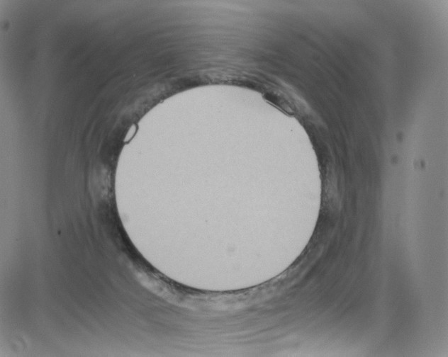 X0000080730025200701051110