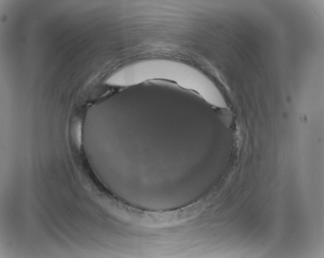 X0000080730027200701051110